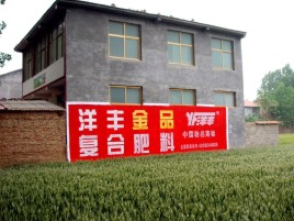 安化如何让墙体广告展现最大化效果